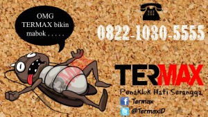 jasa anti rayap di cikini menteng jakarta pusat