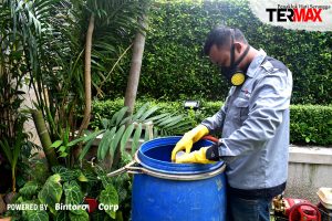 jasa anti rayap di cilincing utara jakarta utara