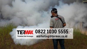 cara mengusir nyamuk
