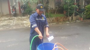 pembasmi rayap ampuh